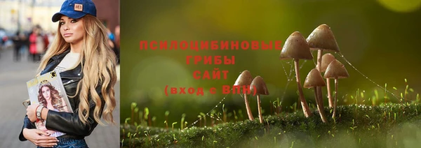 прущие грибы Каменск-Шахтинский