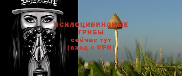 прущие грибы Каменск-Шахтинский