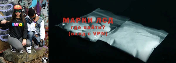 прущие грибы Каменск-Шахтинский