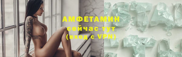 прущие грибы Каменск-Шахтинский