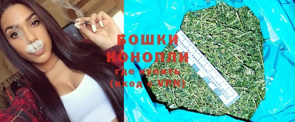 прущие грибы Каменск-Шахтинский