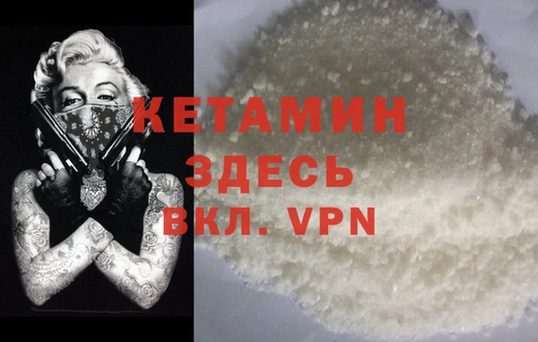 прущие грибы Каменск-Шахтинский